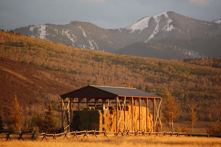 The Software Ranch